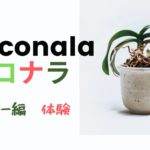 ココナラでツイッターのヘッダーを依頼してみた結果!大満足【やりとり必見!】