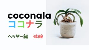 ココナラでツイッターのヘッダーを依頼してみた結果！大満足【やりとり必見！】
